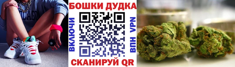 Каннабис OG Kush Белокуриха